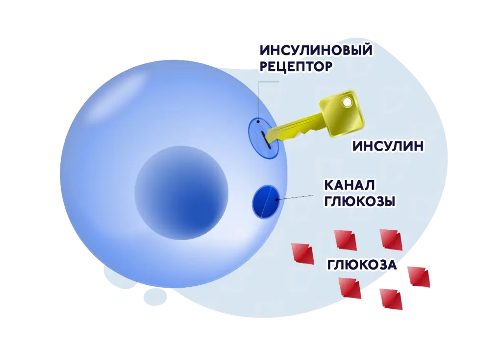 БЛОГ-3.png БЛОГ-3.png