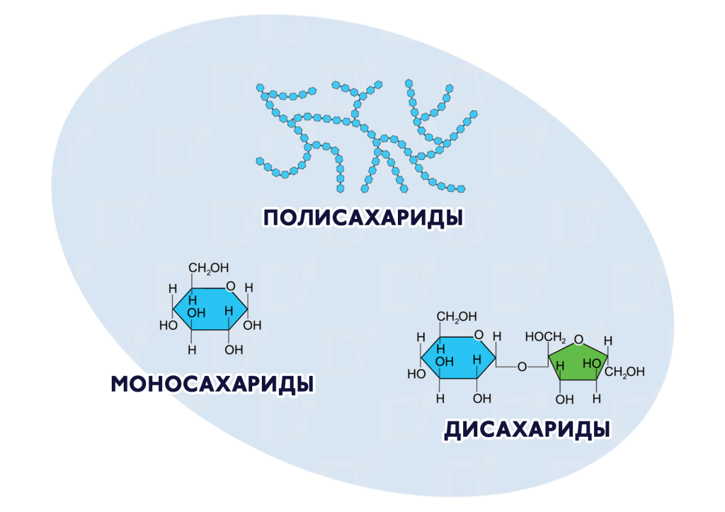 БЛОГ-2.png БЛОГ-2.png